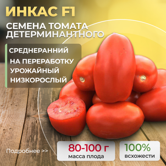 ИНКАС_F1_семена_томата_Nunhems_купить_семена