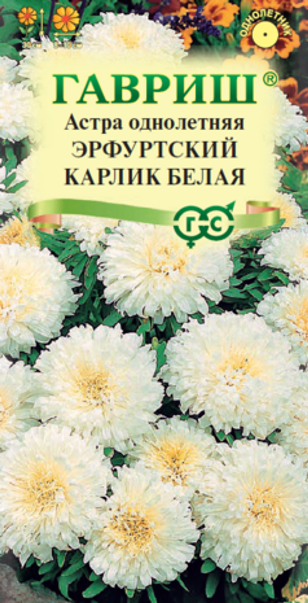 Астра Эрфуртский карлик Белая, однолетняя, 0,3 г (Гавриш)