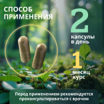 Концентрат Для щитовидной железы, 60 капсул