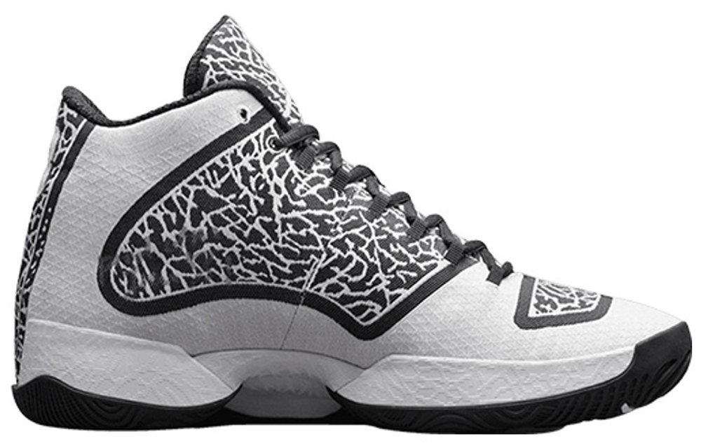 Кроссовки Jordan Air Jordan 29 Black White