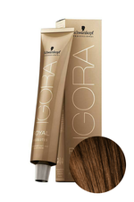Краска для волос Igora Absolutes 6-50 Темный Русый Золотистый Натуральный Schwarzkopf Professional, 60 мл