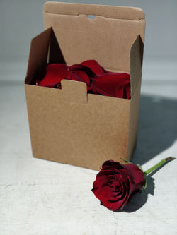 Лепестки живых роз