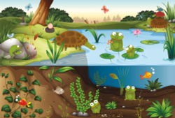 Коллекция Детские