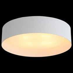 Накладной светильник ST-Luce SL392.502.04