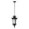 Уличный подвесной светильник Loft IT Verona 100003P