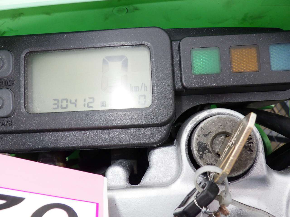 Kawasaki KLX250 LX250E-315621