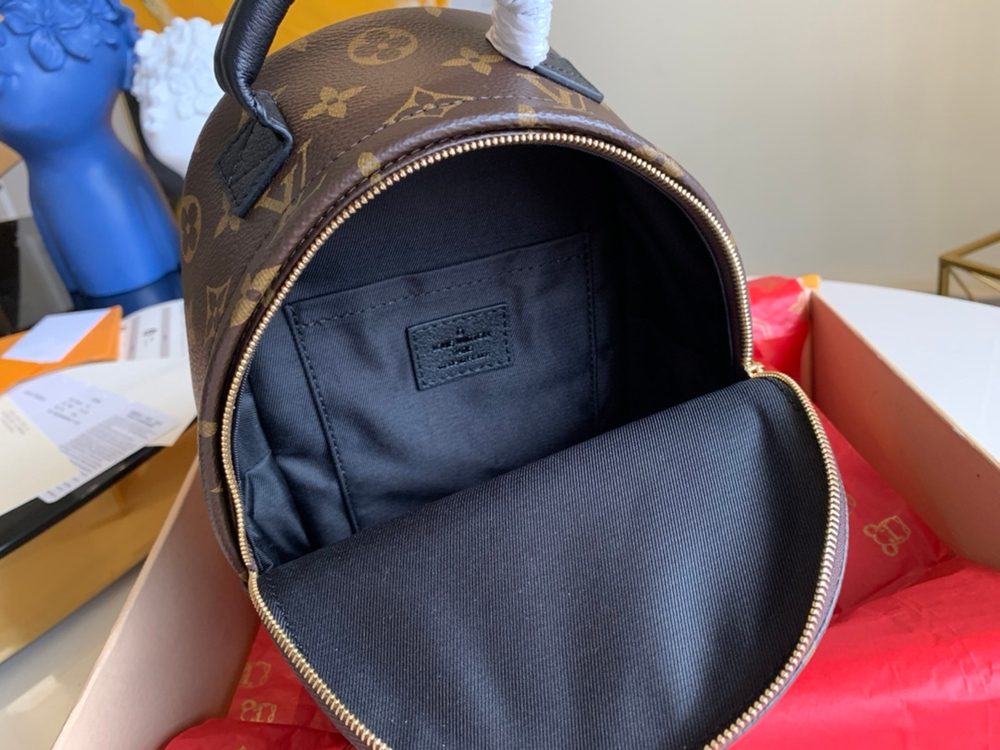 Louis Vuitton Palm Springs Mini