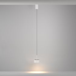 Светильник подвесной светодиодный Maytoni   P102PL-12W4K-W