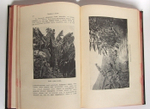 "Человек и Земля". Элизе Реклю. 1909 г.