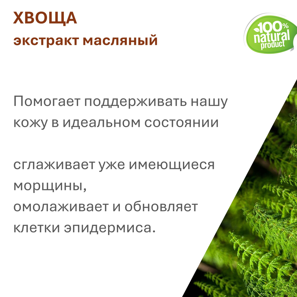 Экстракт хвоща, масляный