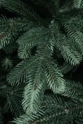 Искусственная ель Царская 3 м., ствольная, интерьерная, 100% Литая хвоя, ЕлкиТорг (194300)