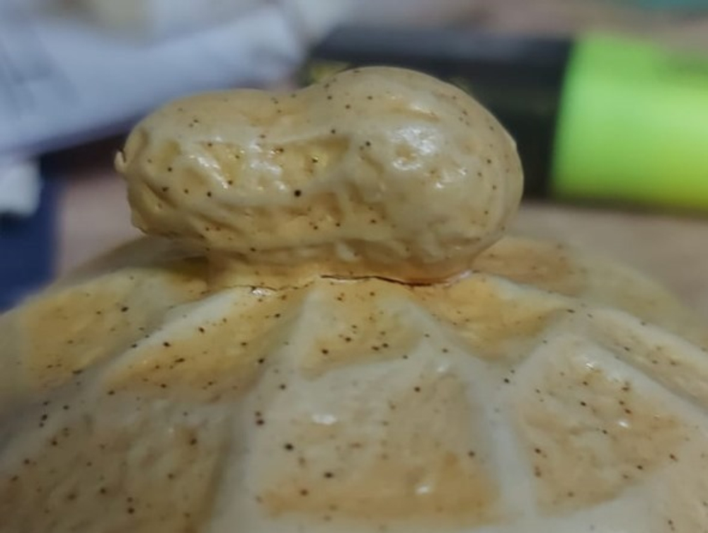 243123Y2 УЦЕНКА Сервиз ДОРОЖНЫЙ "Арахис", гайвань, 2 пиалы, в кейсе, керамика, желтый