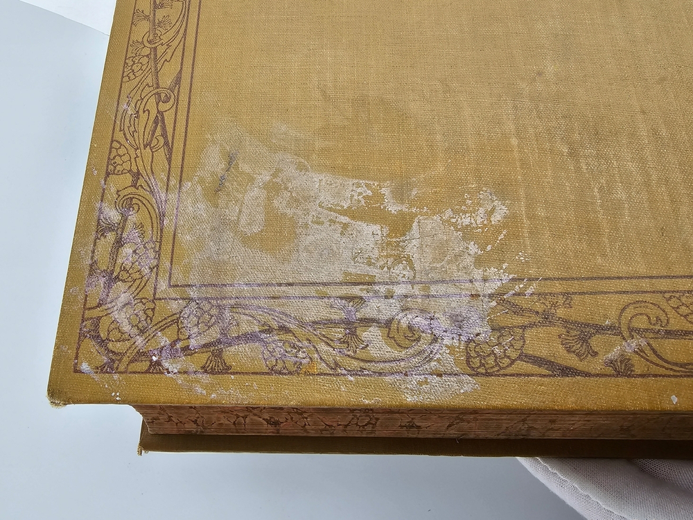 "Новый способ лечения. Лечение целебными силами природы."  М. Платен. 1906 г.