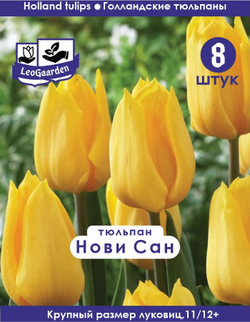 Тюльпан Луковица, Нови Сан 8 шт, разбор 12+