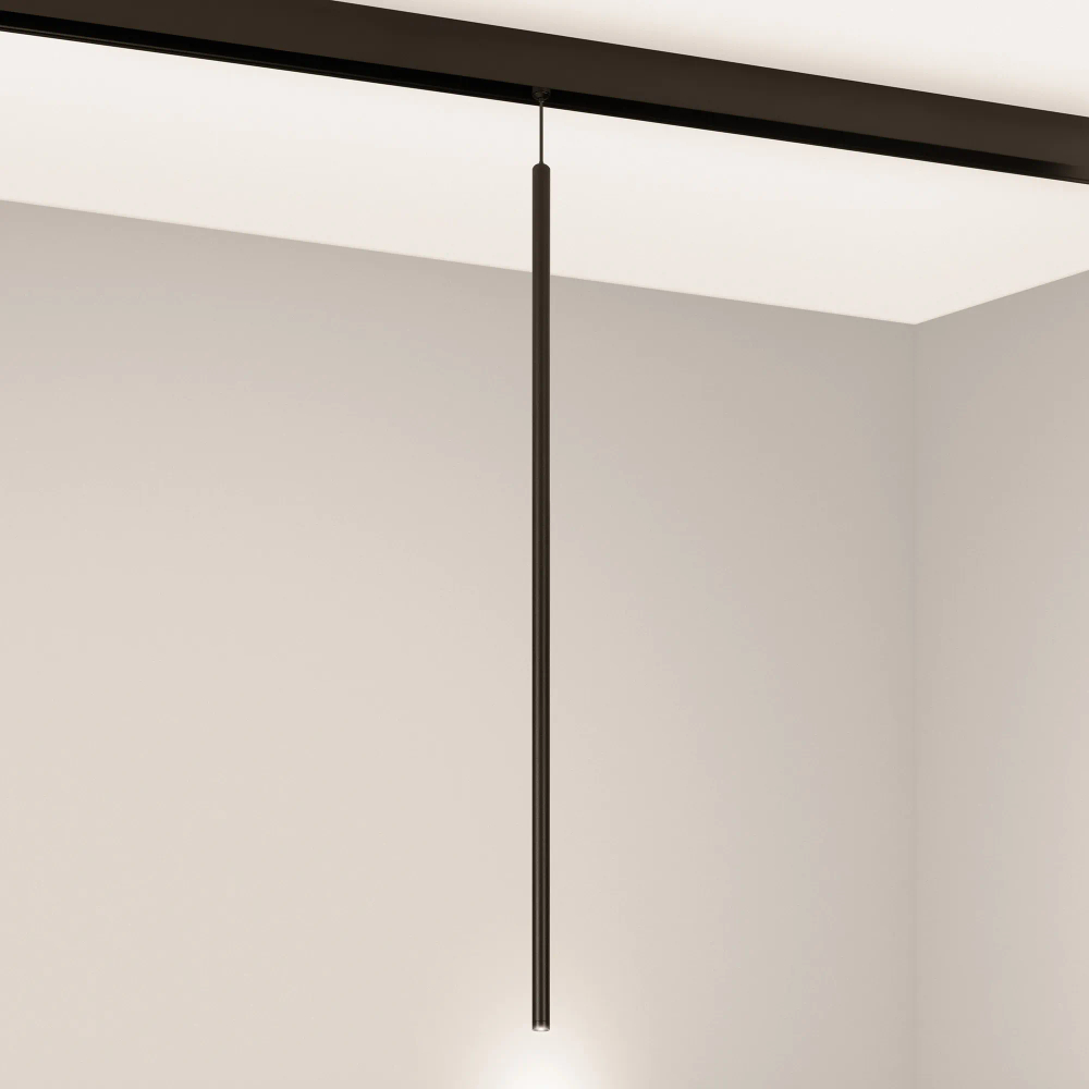 Светильник MAG-ORIENT-SPOT-HANG-L600-R12-2W Warm3000 (BK, 20 deg, 48V) (Arlight, IP20 Металл, 5 лет) 044502