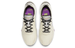 Кроссовки Nike Air Zoom Division Wntr