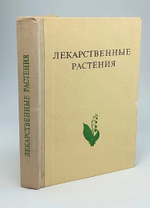 Лекарственные растения. Растения-целители