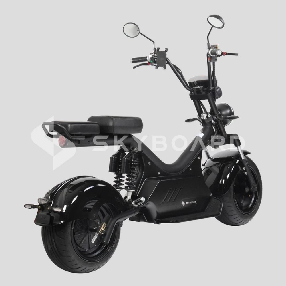 Электроскутер CityCoco Skyboard BR50-3000 (Baikal) Черный