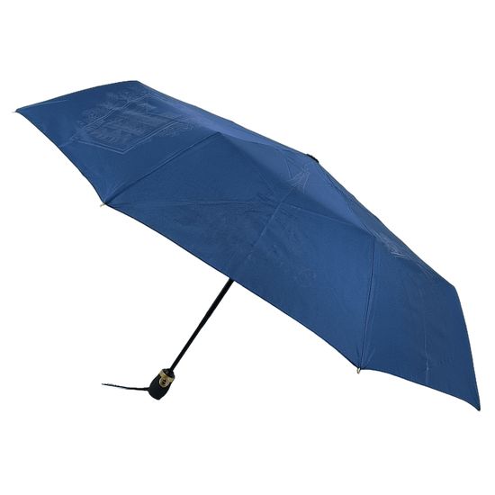 Женский зонт Три Слона - Полный автомат 198-A-10