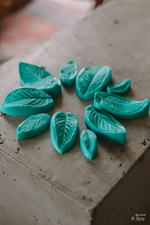 Мята листья