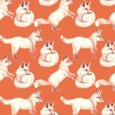 Весёлые лисята