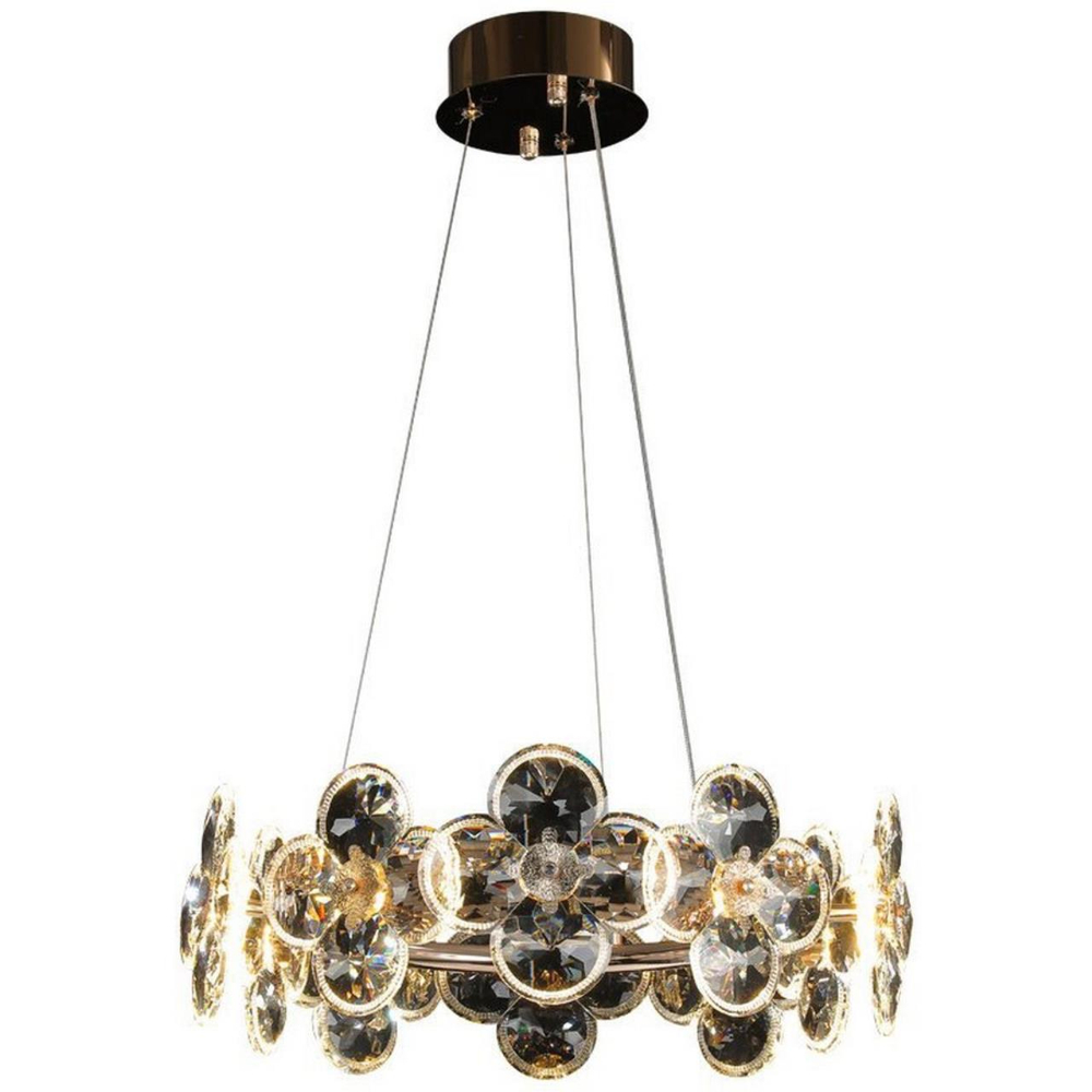 Подвесная светодиодная люстра Aployt Alunia APL.097.03.10