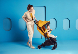 Детская прогулочная коляска Anex AIR-X Ax-04/L yellow