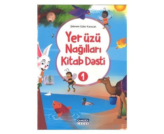 Yer üzü nağılları