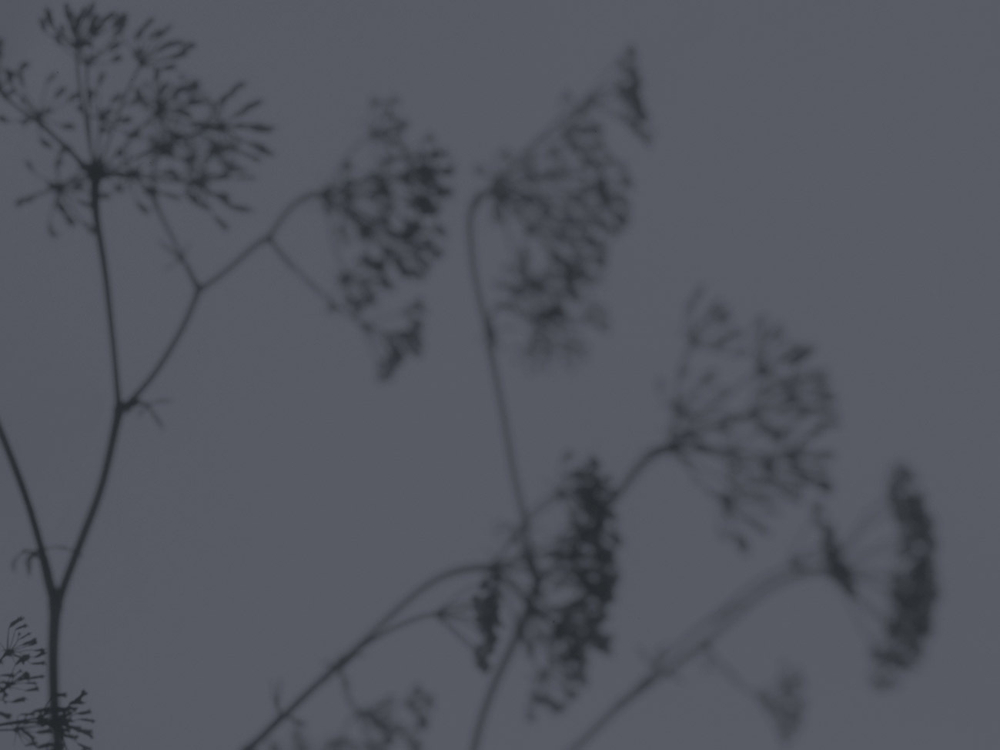 Дизайнерские обои Wall Street Vetve-22