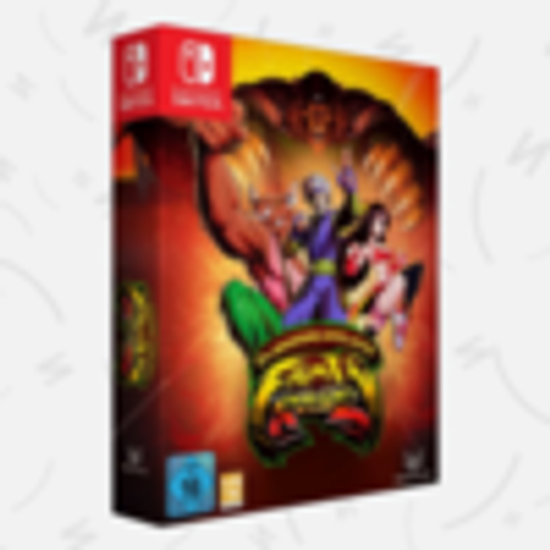 Fight'n Rage: 5th Anniversary Limited Edition [Nintendo Switch, английская версия]