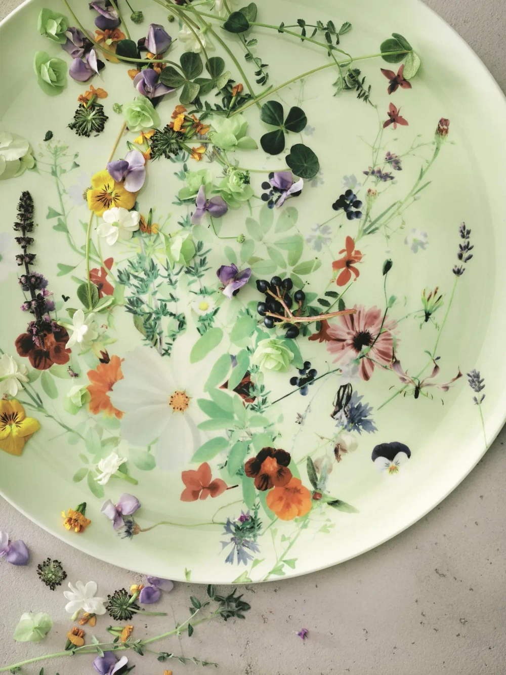 Rosenthal Фуршетная тарелка Spring Garden coupe 32 см