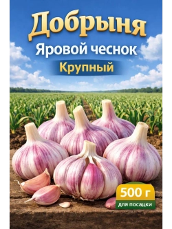 Чеснок яровой Добрыня