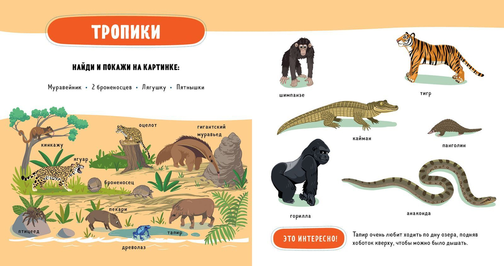 Главная книга малыша. Такие разные животные