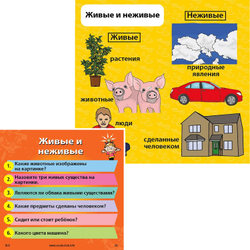 Сундучок Знаний Мои первые знания