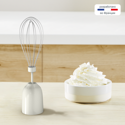 Погружной блендер Moulinex DD523AF0