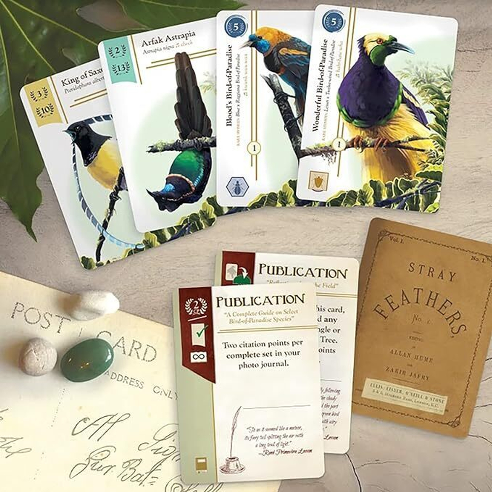 Birdwatcher Game and Deluxe Extras Bundle