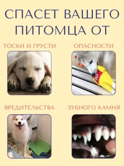 Прочная игрушка-мяч для собак средних-мелких пород