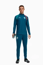 Кофта Puma Portugal 2026 Training 1/4 Zip - зеленый