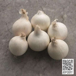 Сноупак F1 семена лука репчатого (Bejo / Бейо)