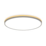 Потолочный светодиодный светильник Citilux NORMA CL748500