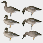 Гусь гуменник Duck Mania "ALFA"