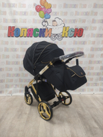 Коляска модульная Adamex Chantal SE C1