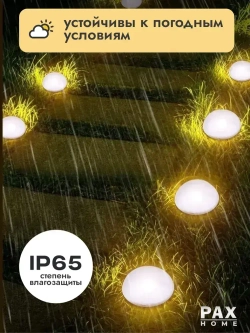 PAXON Уличный светильник, количество ламп:5шт