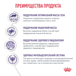 ROYAL CANIN Neutered Maintenance Корм консервированный полнорационный для стерилизованных взрослых кошек, мелкие кусочки в соусе, 85 г