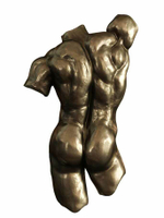 Торс Марцелло 75 см