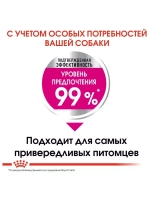 Royal Canin Mini Exigent (Роял Канин Мини Эксиджен) корм сухой для привередливых собак 3 кг.