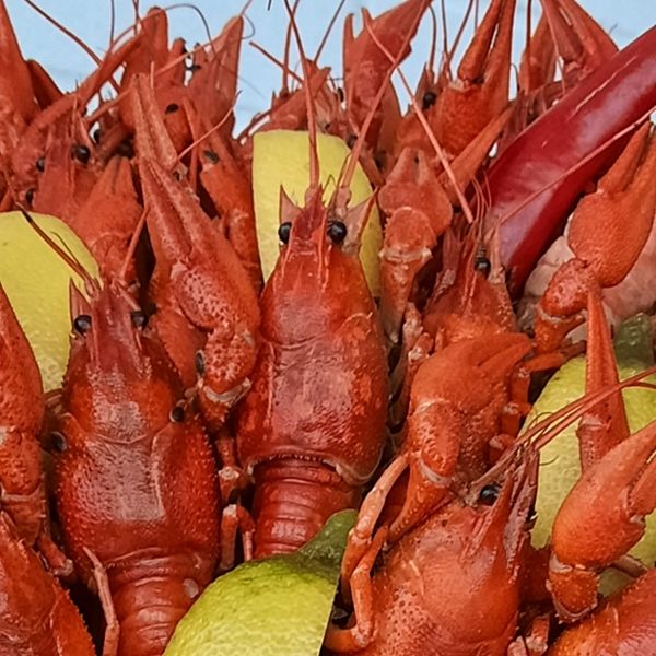 Подарочный бокс Раковый фото 2