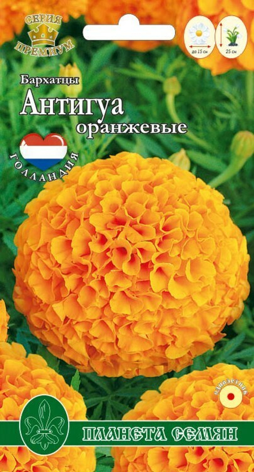 Бархатцы прямостоячие Антигуа оранжевые