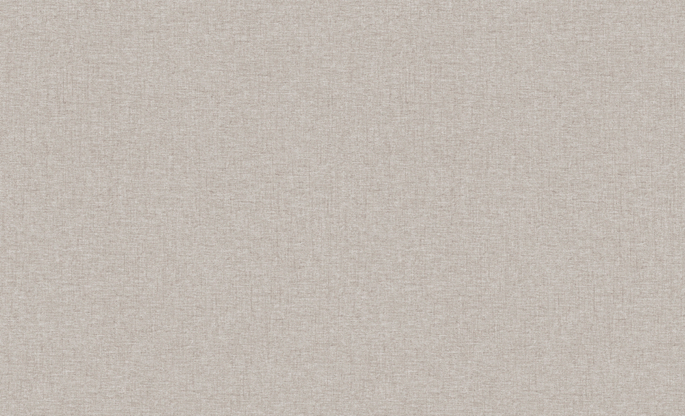 Erismann 60989-07 Basic Skandi