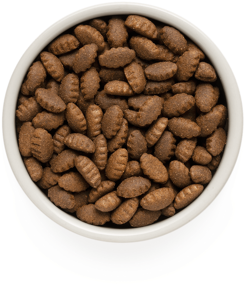 Grandorf Dog lamb & turkey maxi корм сухой для собак крупных пород ягнёнок с индейкой